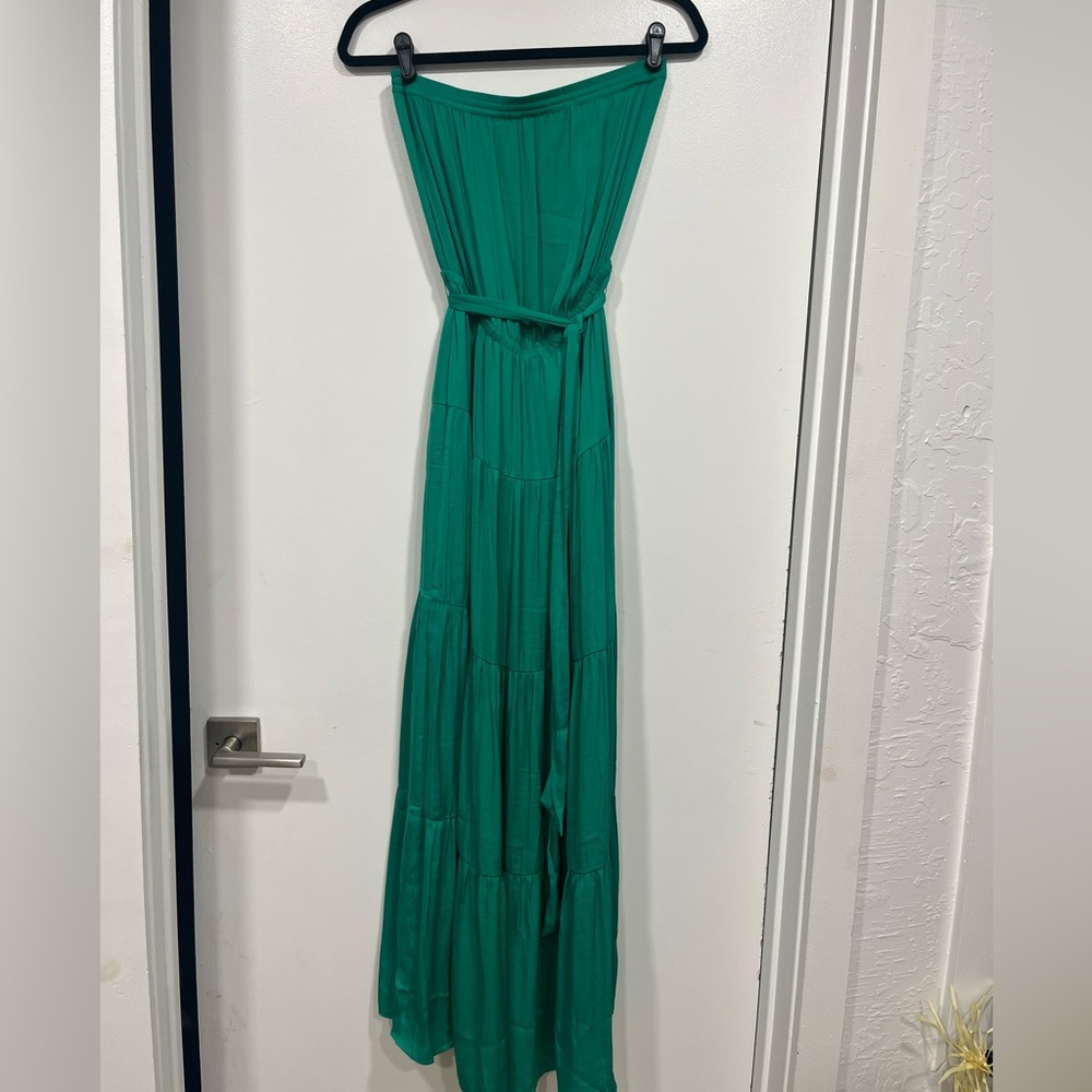 Naked Zebra Green Maxi Tube Dress